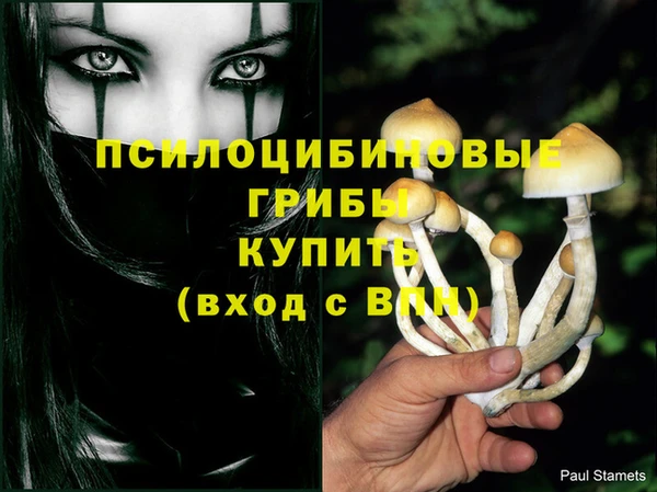 ГАЛЛЮЦИНОГЕННЫЕ ГРИБЫ Алексеевка