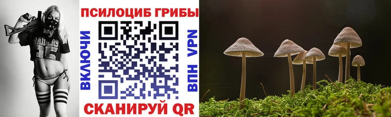 хочу   Королёв  Галлюциногенные грибы GOLDEN TEACHER 